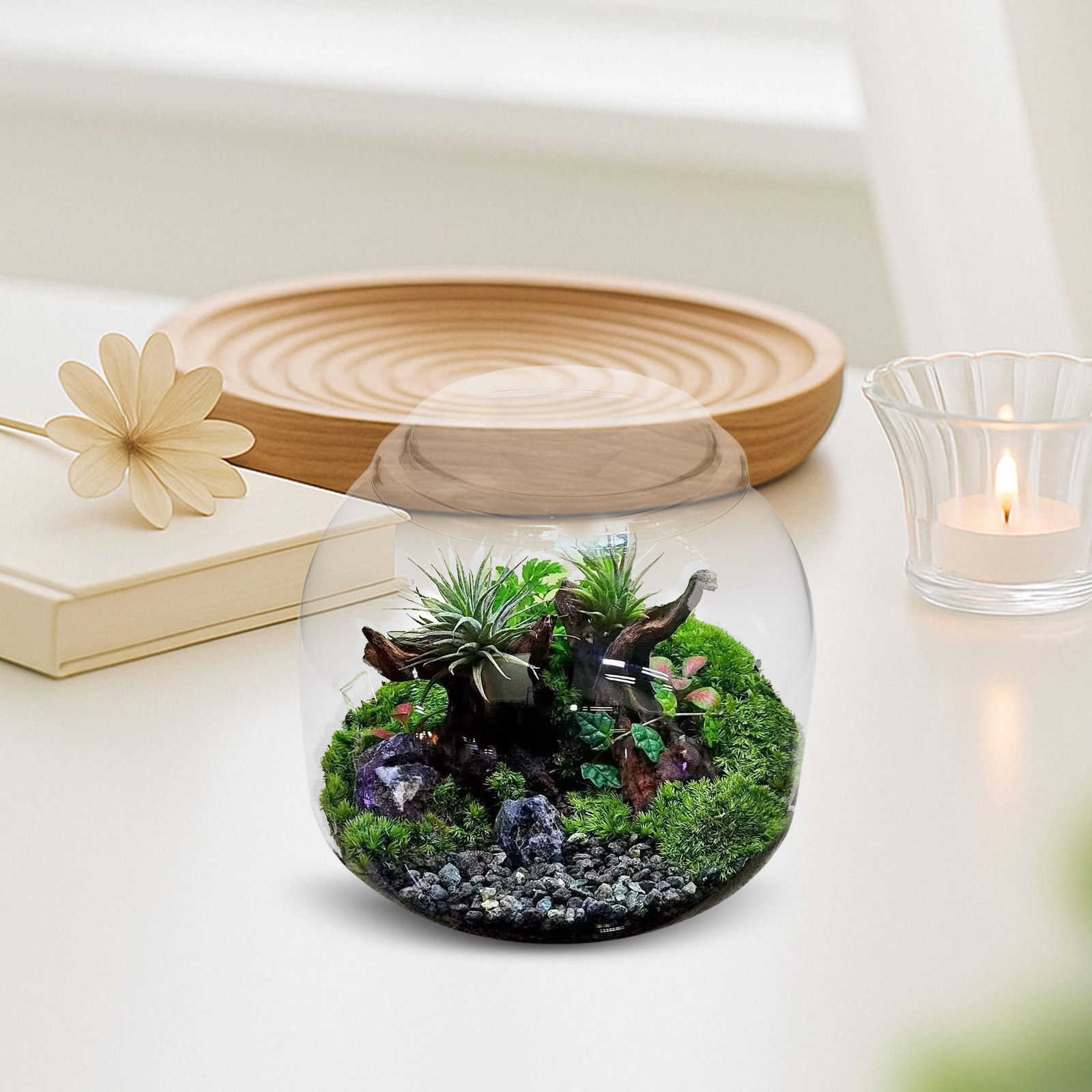 Terrarium Glass Bottle - Terrarium en verre avec couvercle, bouteille