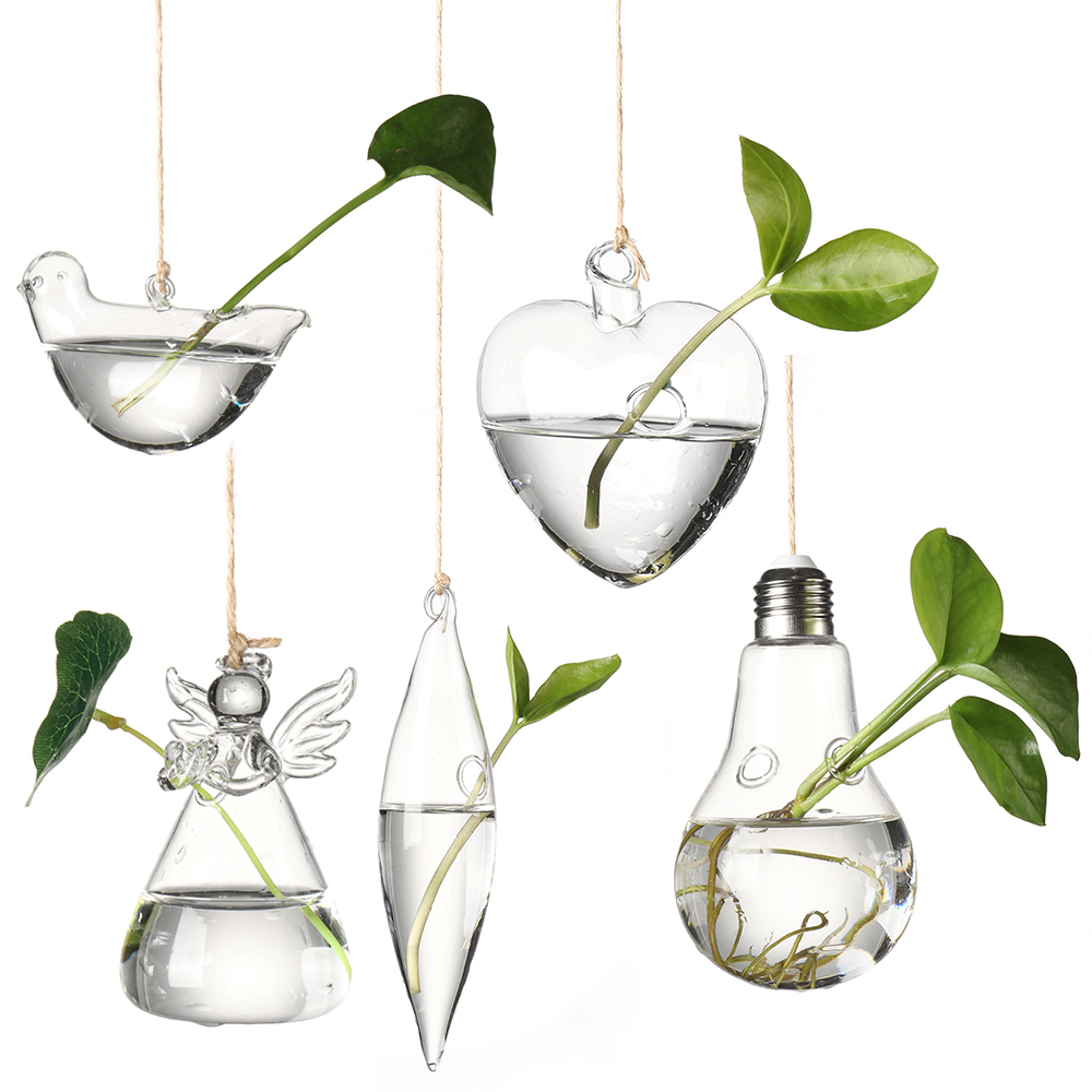 Terrarium Glass Bottle - Vases à plantes hydroponiques en verre