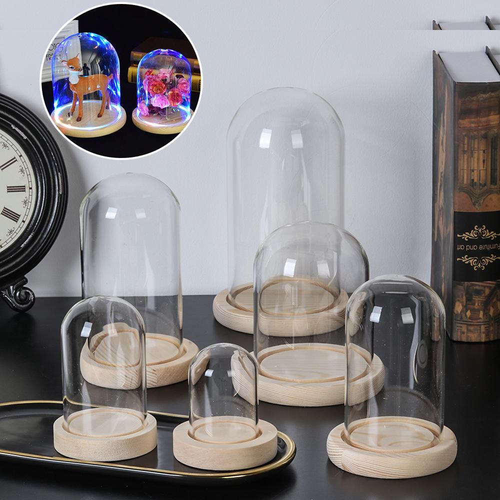 Terrarium Glass Bottle - Terrarium de table, lumières féériques, bocal