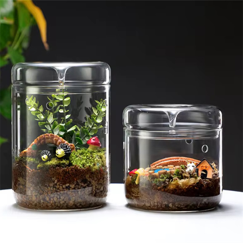 Terrarium Glass Bottle - Vase en verre HI Creativity, collection