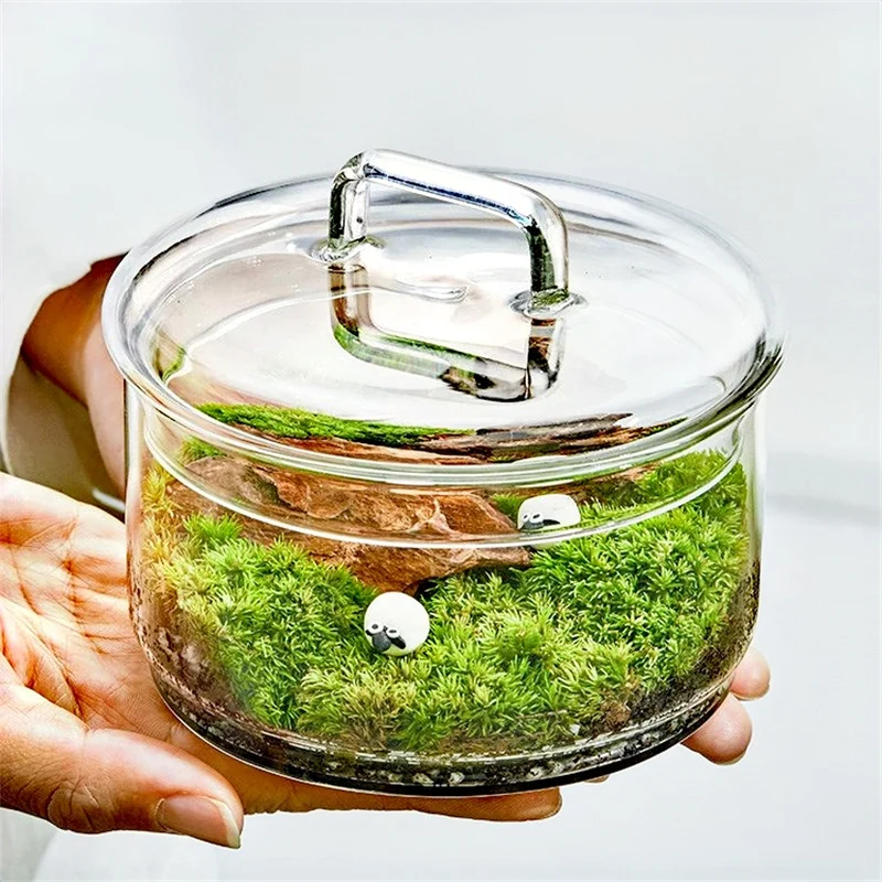 Terrarium Glass Bottle - Micro paysage mousse plantes bouteille en