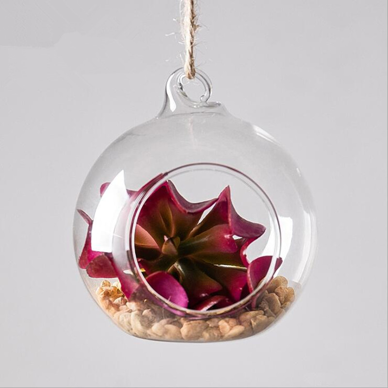Terrarium Glass Bottle - Vase de Terrarium en verre suspendu