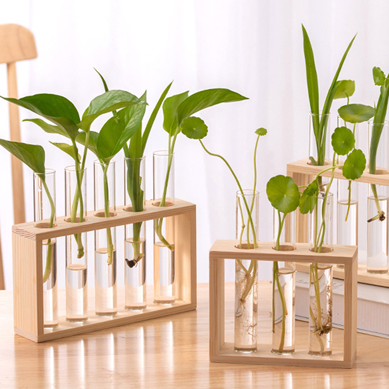 Terrarium Glass Bottle - Conteneur de plantes hydroponiques avec cadre