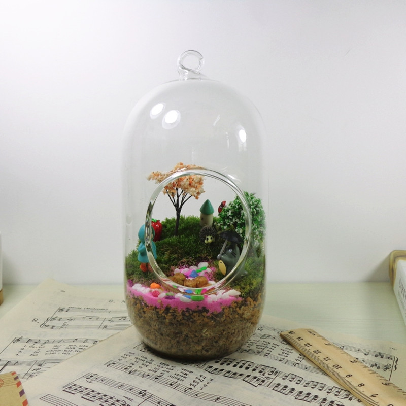 Lot de 2 Vases Cylindriques en - Terrarium Glass Bottle avis et prix