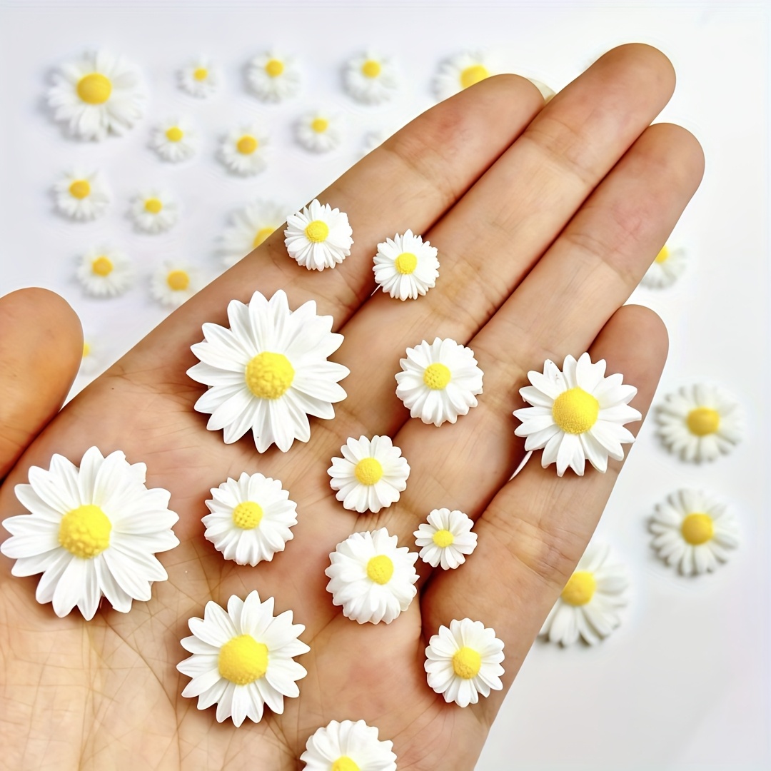 Fleurs de marguerites blanches - Home Decor Center avis et prix