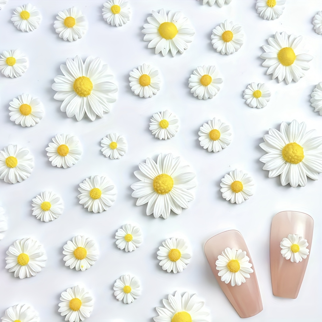 Fleurs de marguerites blanches - Home Decor Center avis et prix