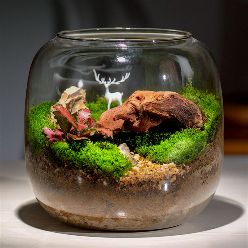 Micro paysage mousse bouteille - Terrarium Glass Bottle avis et prix
