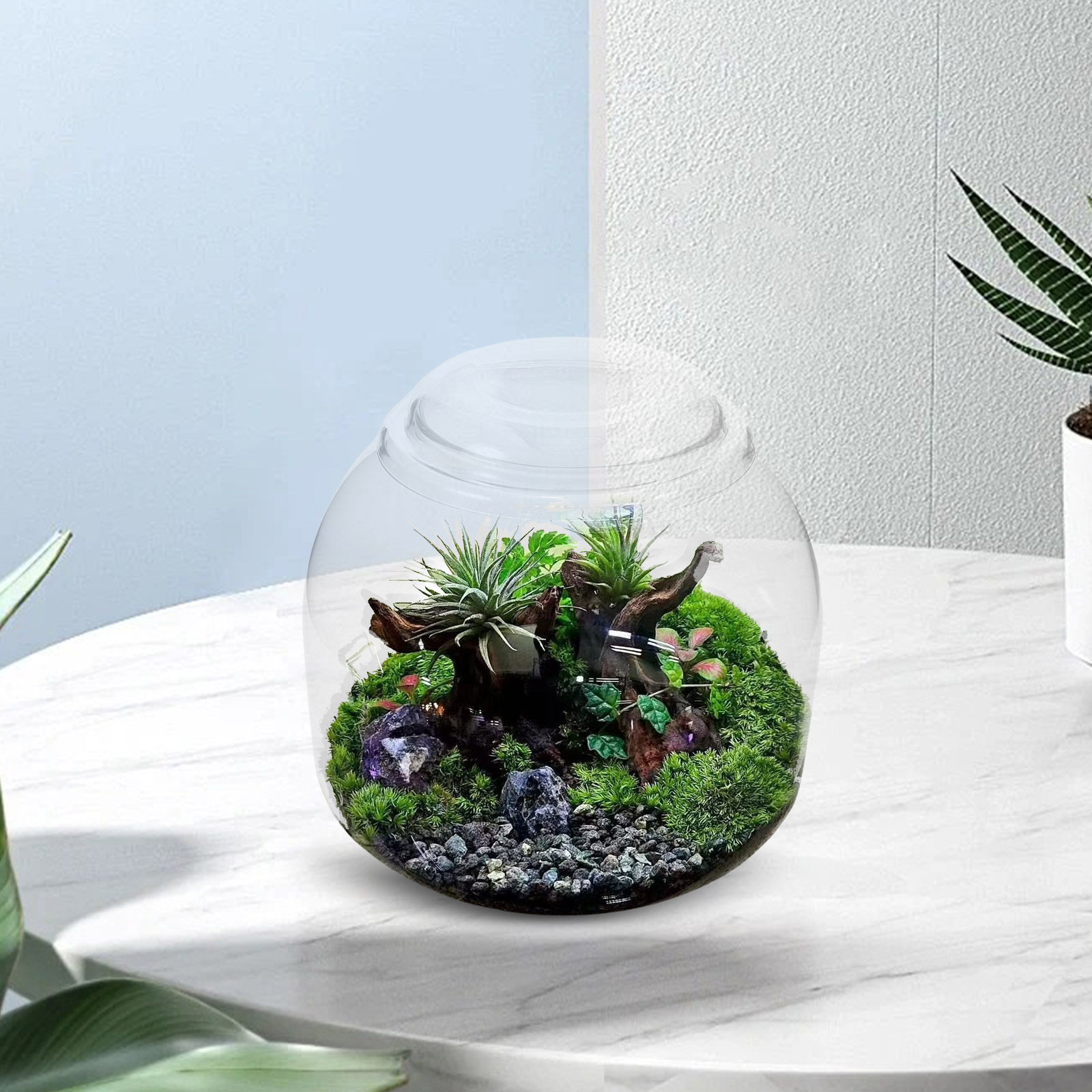 Terrarium en verre avec couver - Terrarium Glass Bottle avis et prix