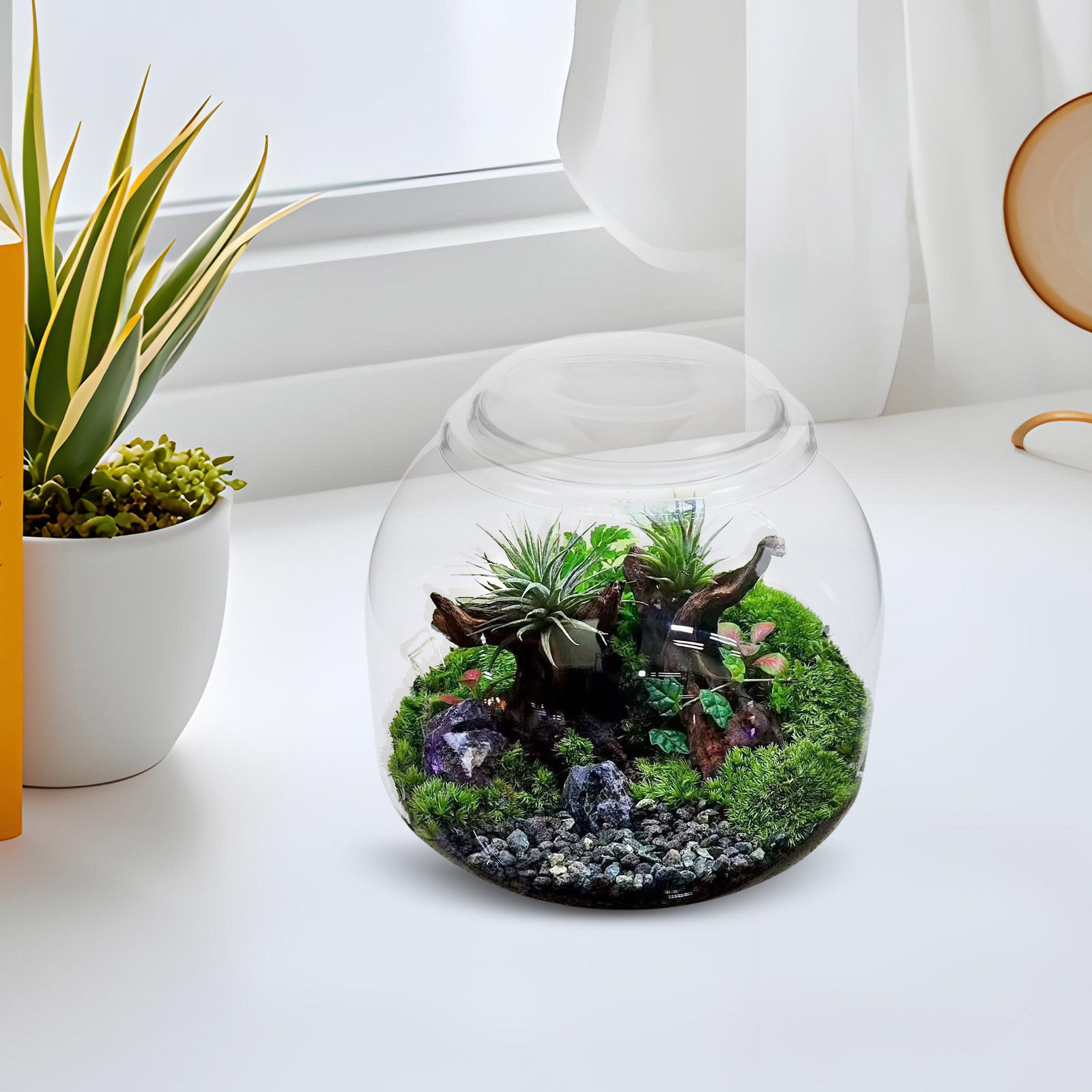 Terrarium en verre avec couver - Terrarium Glass Bottle avis et prix