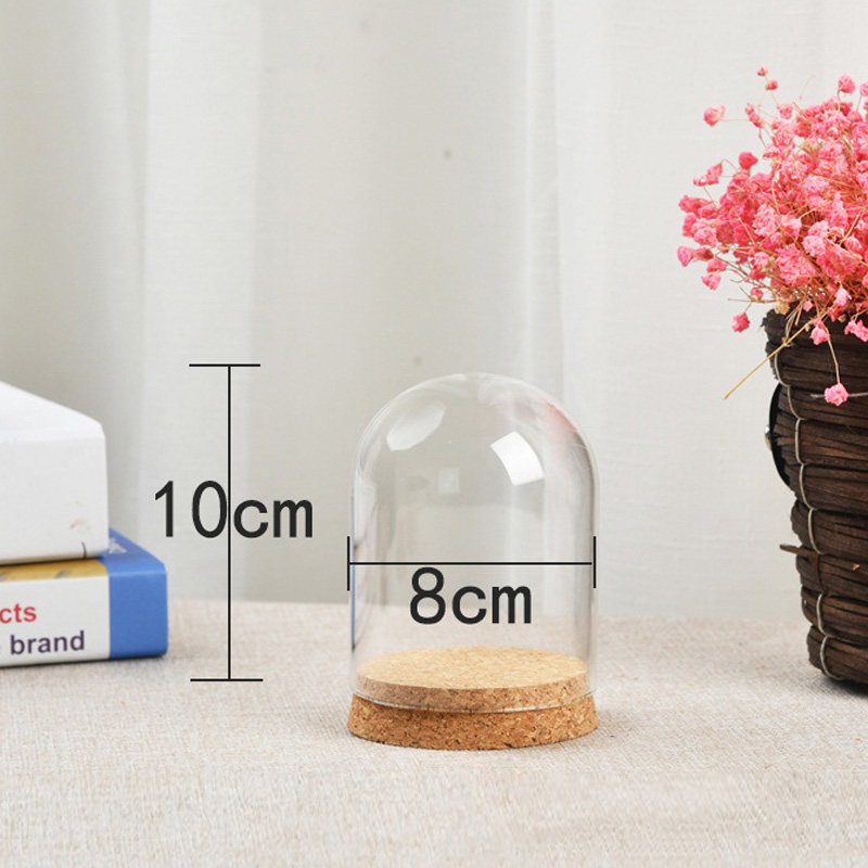 Couvercle de dôme en verre pou - Terrarium Glass Bottle avis et prix