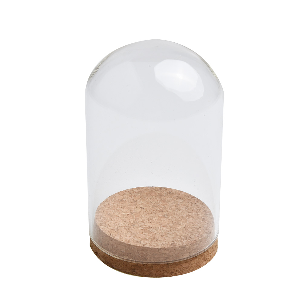 Couvercle de dôme en verre pou - Terrarium Glass Bottle avis et prix