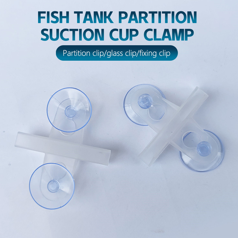 Lot de 2 Plaques de Séparation - Terrarium Glass Bottle avis et prix