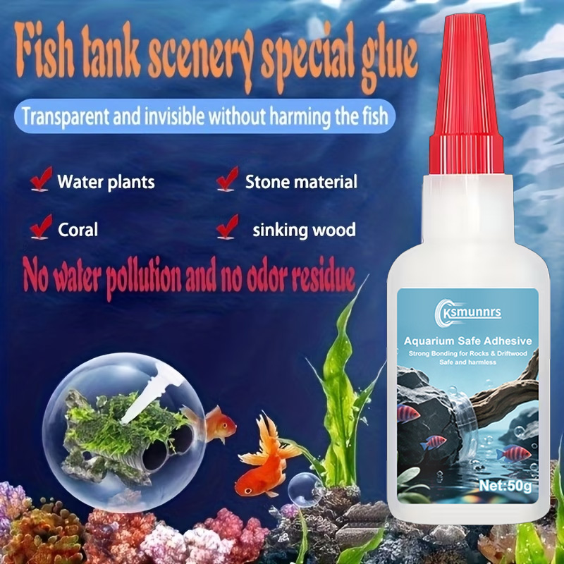 Colle pour aménagement d'aquar - Terrarium Glass Bottle avis et prix