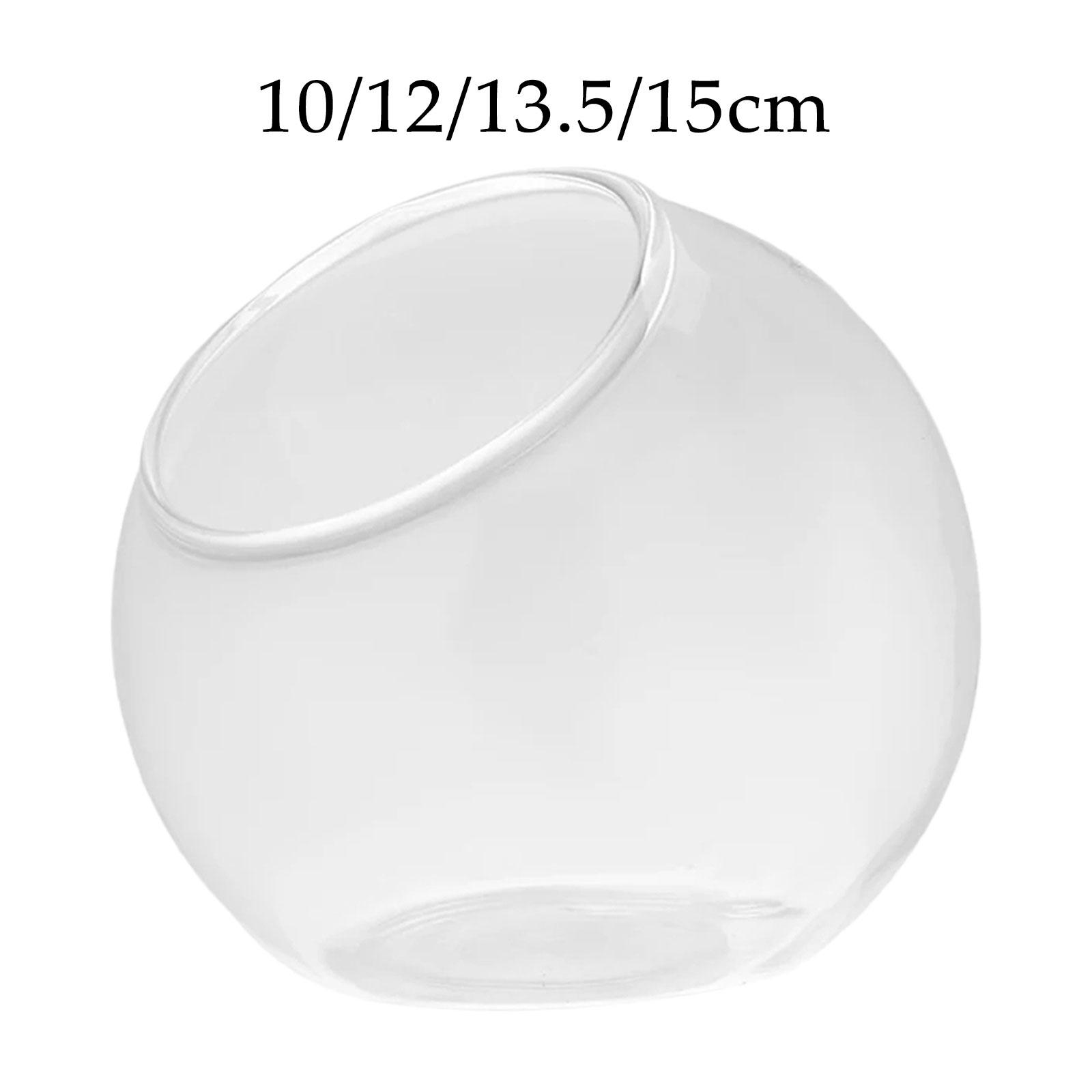 Vase en verre de terrarium, pi - Terrarium Glass Bottle avis et prix