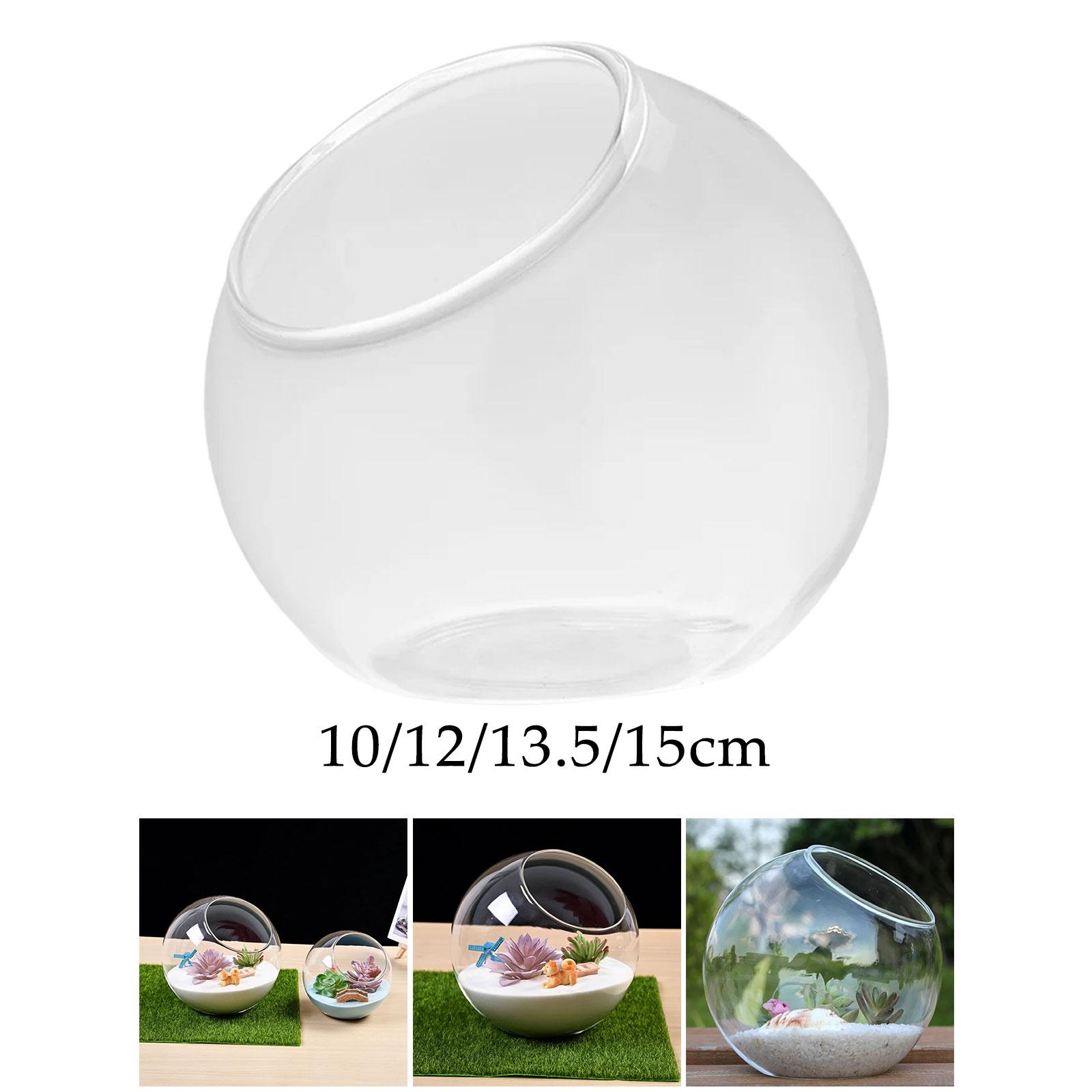 Vase en verre de terrarium, pi - Terrarium Glass Bottle avis et prix