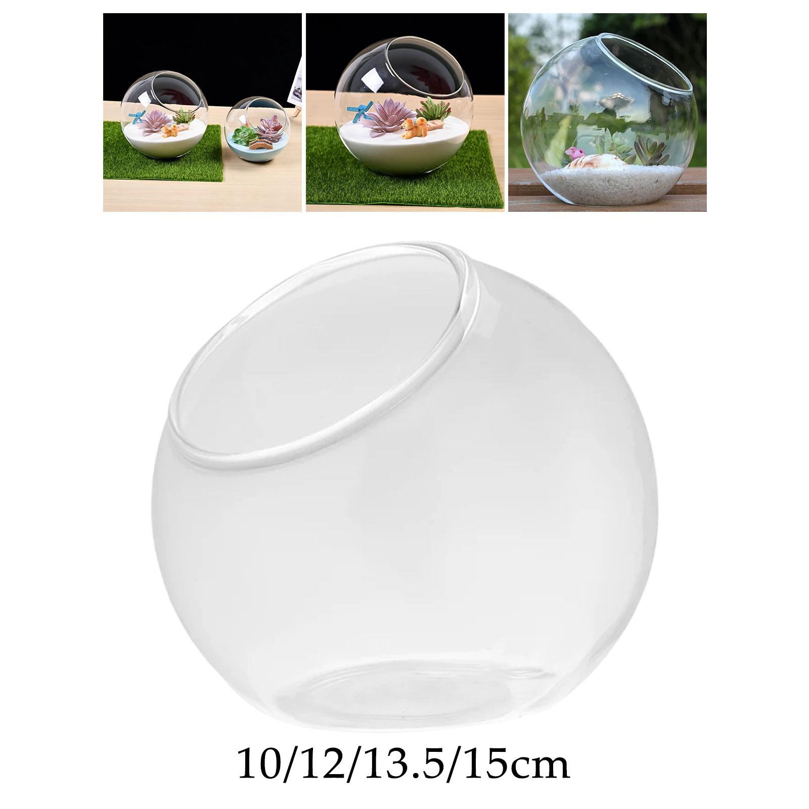 Vase en verre de terrarium, pi - Terrarium Glass Bottle avis et prix