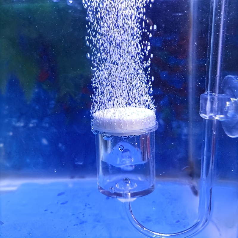 Diffuseur d'atomiseur de CO2 e - Terrarium Glass Bottle avis et prix