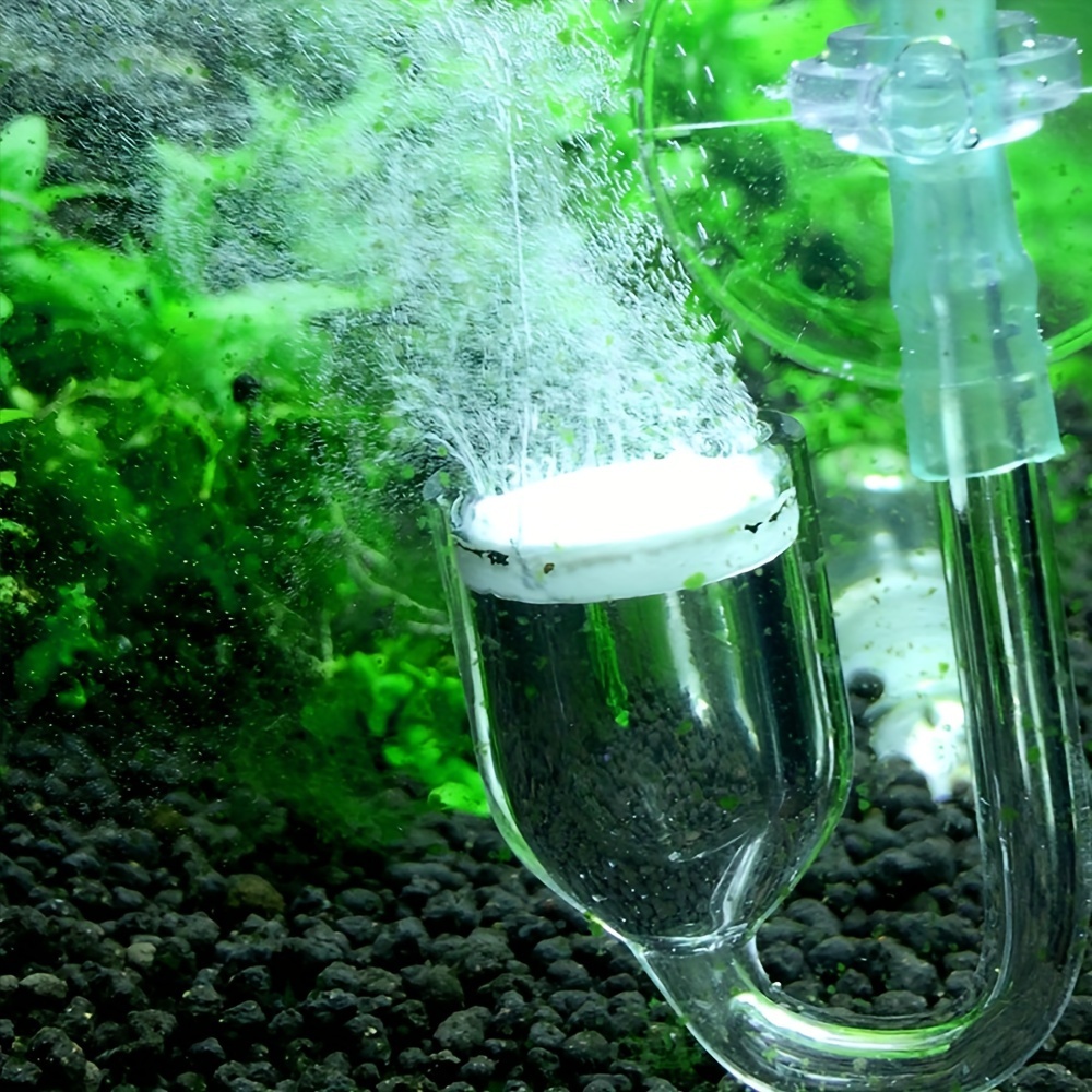 Diffuseur d'atomiseur de CO2 e - Terrarium Glass Bottle avis et prix