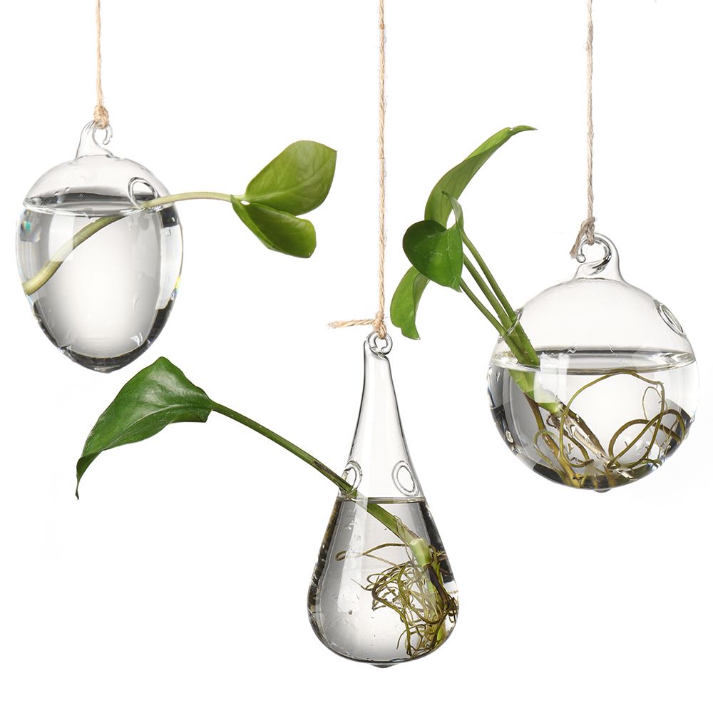 Vases à plantes hydroponiques  - Terrarium Glass Bottle avis et prix