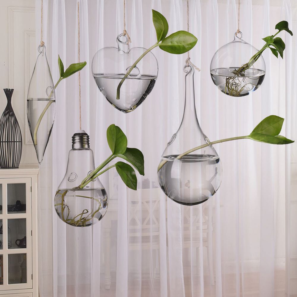 Vases à plantes hydroponiques  - Terrarium Glass Bottle avis et prix