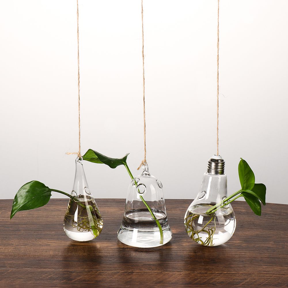 Vases à plantes hydroponiques  - Terrarium Glass Bottle avis et prix