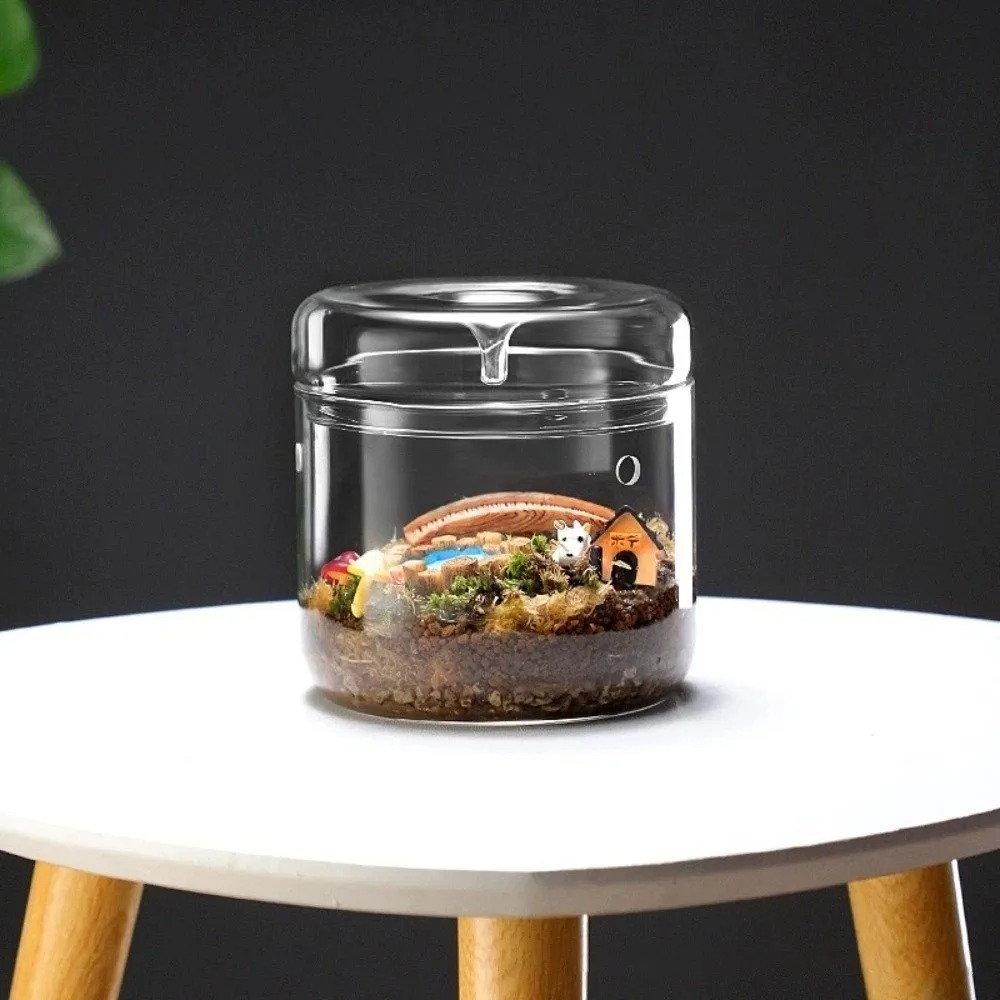 Vase en verre micro-paysage av - Terrarium Glass Bottle avis et prix