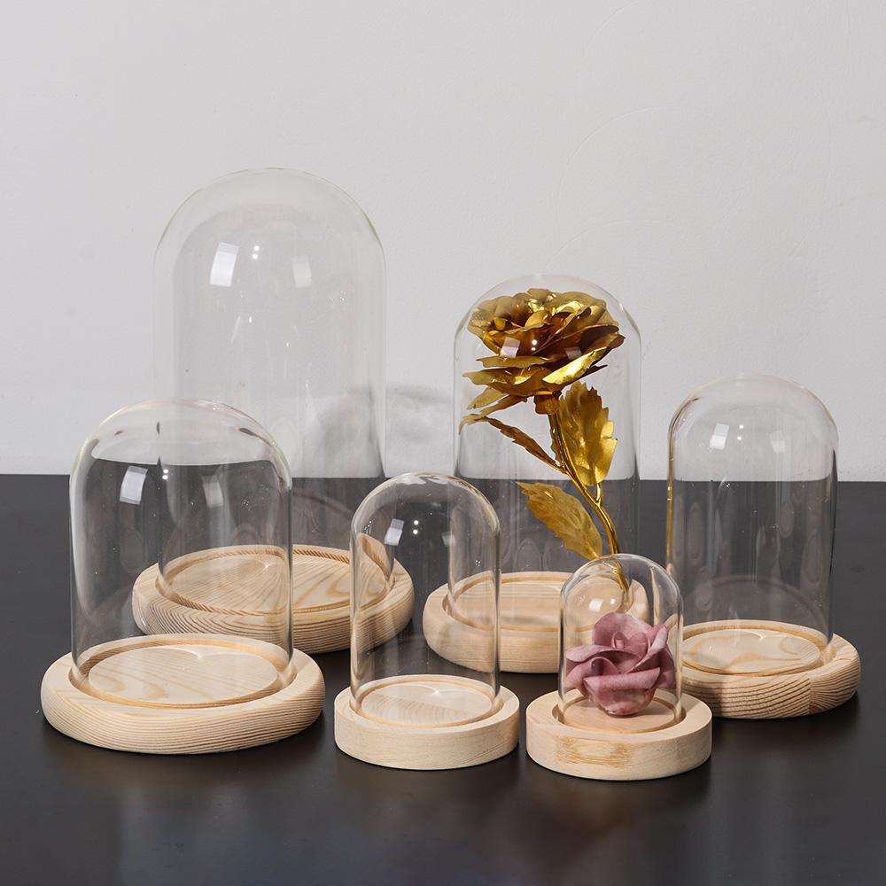Terrarium de table, lumières f - Terrarium Glass Bottle avis et prix
