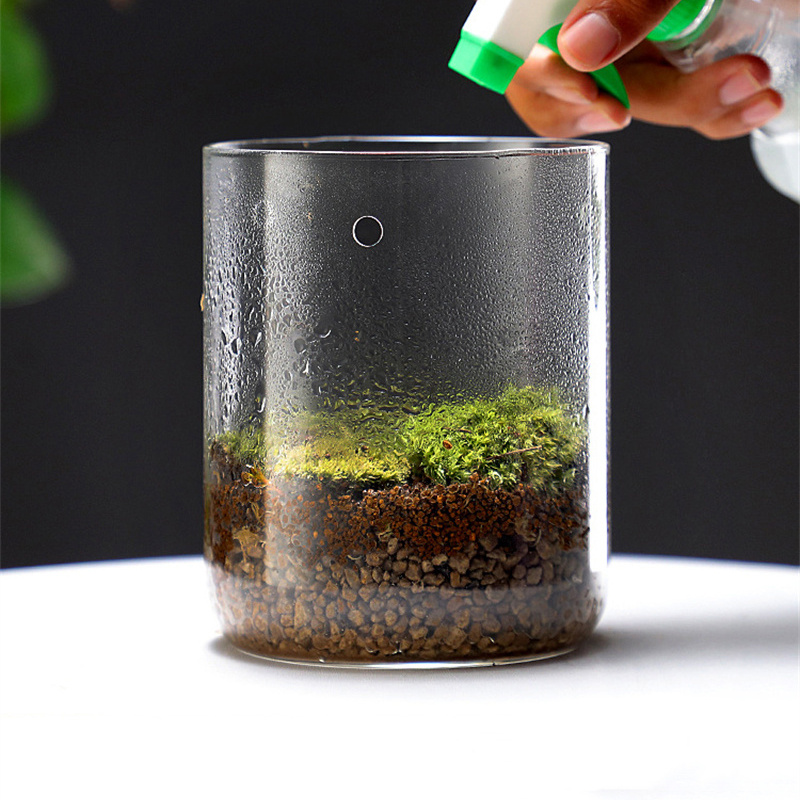 Vase en verre HI Creativity, c - Terrarium Glass Bottle avis et prix