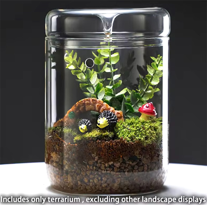 Vase en verre HI Creativity, c - Terrarium Glass Bottle avis et prix