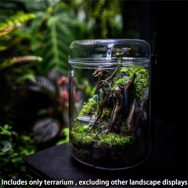 Vase en verre HI Creativity, c - Terrarium Glass Bottle avis et prix