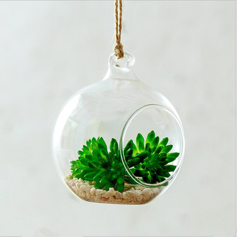 Vase de Terrarium en verre sus - Terrarium Glass Bottle avis et prix