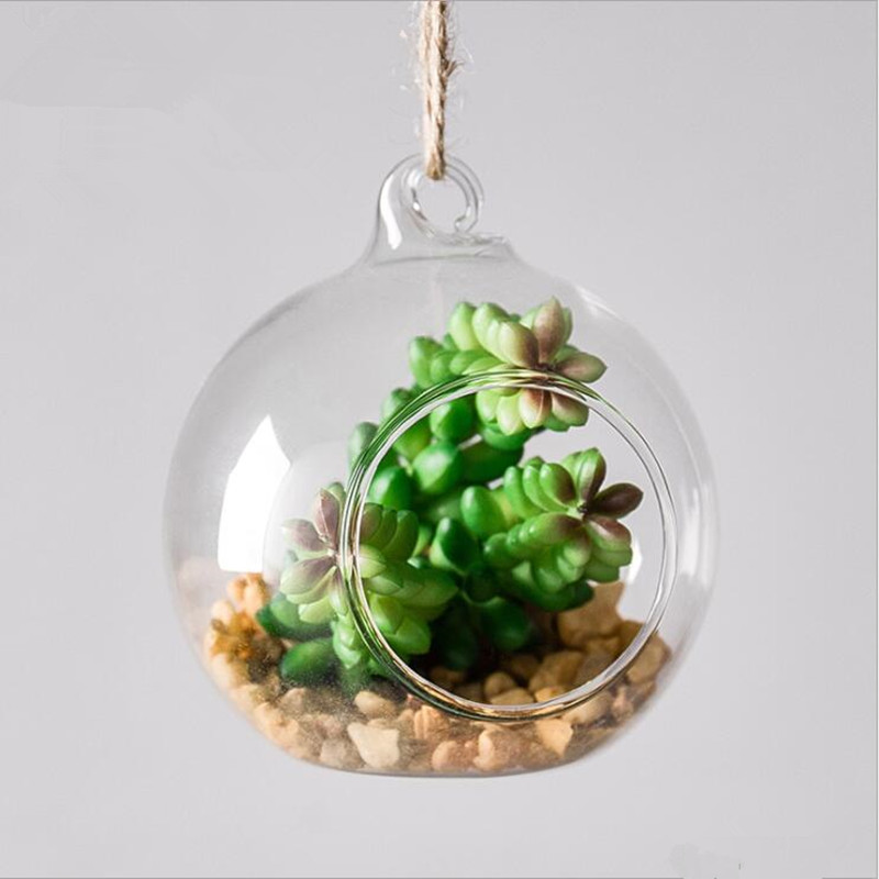 Vase de Terrarium en verre sus - Terrarium Glass Bottle avis et prix
