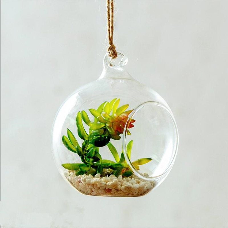 Vase de Terrarium en verre sus - Terrarium Glass Bottle avis et prix