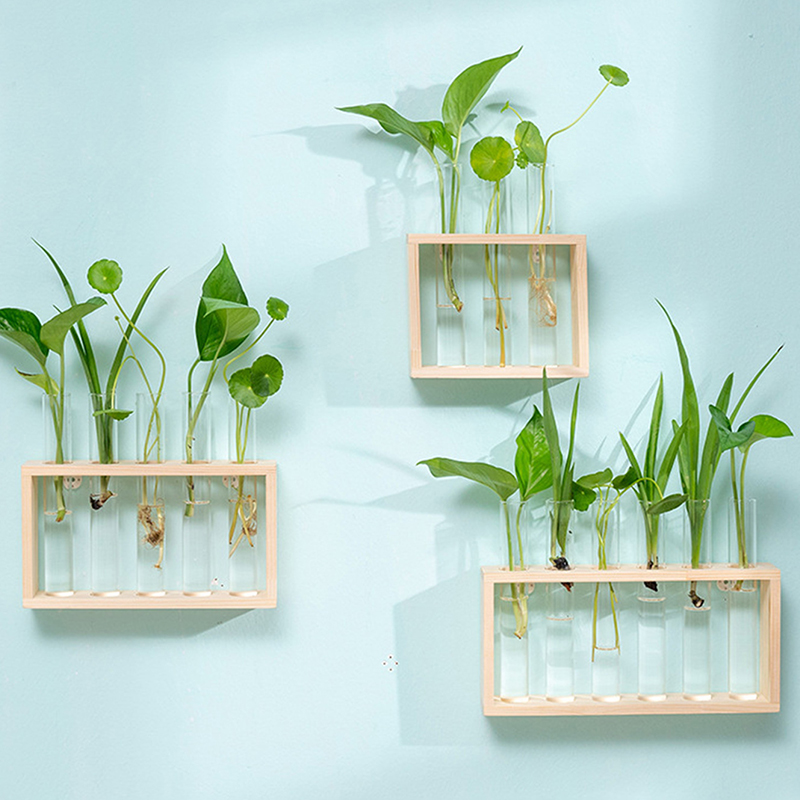 Conteneur de plantes hydroponi - Terrarium Glass Bottle avis et prix