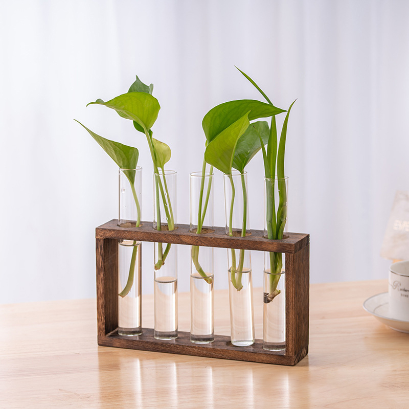 Conteneur de plantes hydroponi - Terrarium Glass Bottle avis et prix